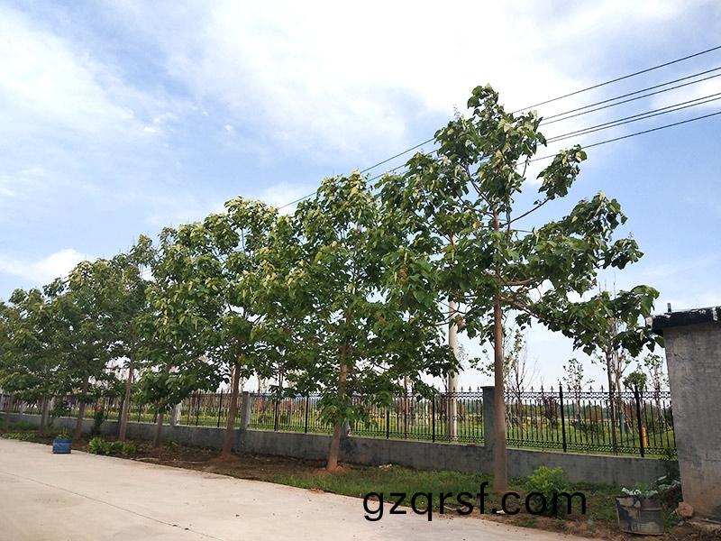 濟(ji)寧市大氣環(huan)境質量2015年12月(yue)份(fen)13縣(xian)市(shi)區(qu)排名