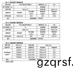 檢測報(bao)告(gao)（2024.12.31）
